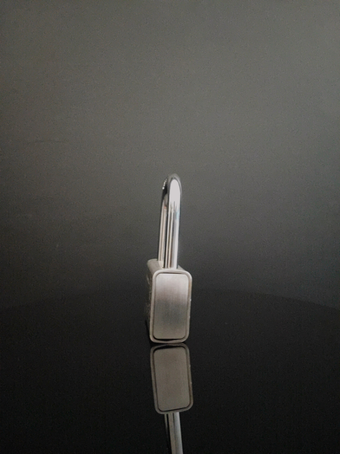 Gembok Elliot 63mm Long 360 2