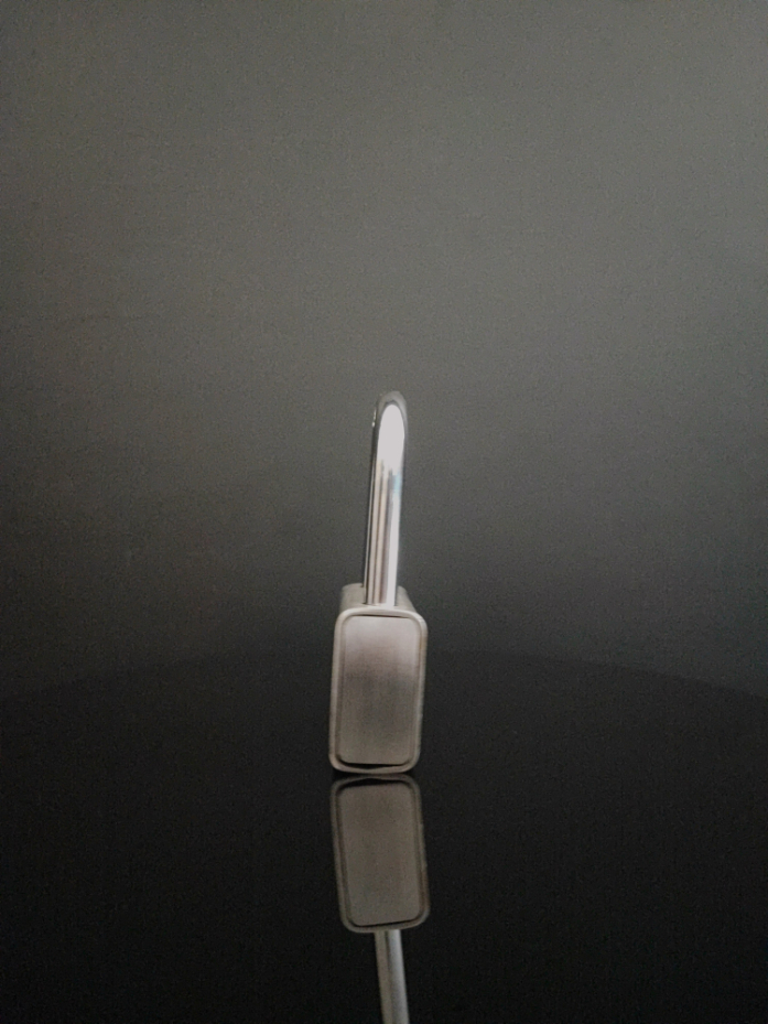 Gembok Elliot 63mm Long 360 2